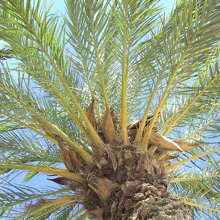 Select'sohome - Au Lavandou à Deux Pas De La Et Du Marché Provençal ! - Horizons-75 Apartamento *